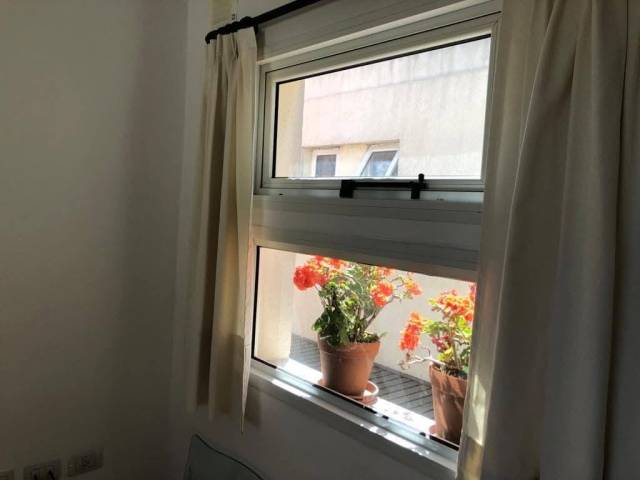 Imagen 44c12786a649c4ca9d7f54df9d7530ca