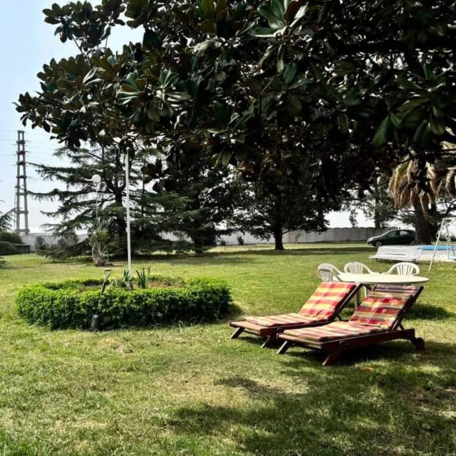 Imagen 49d79018a9304a64c9b5264a991b711d