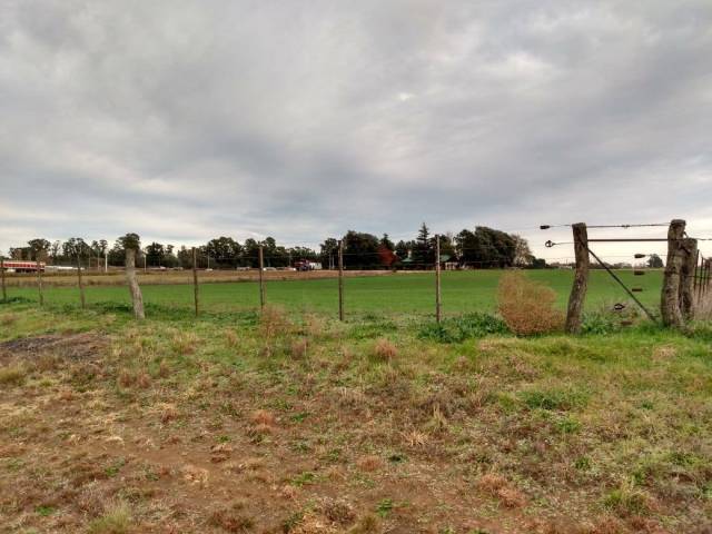 Imagen 5aebce88238d21a7087ac1d8c32576cb