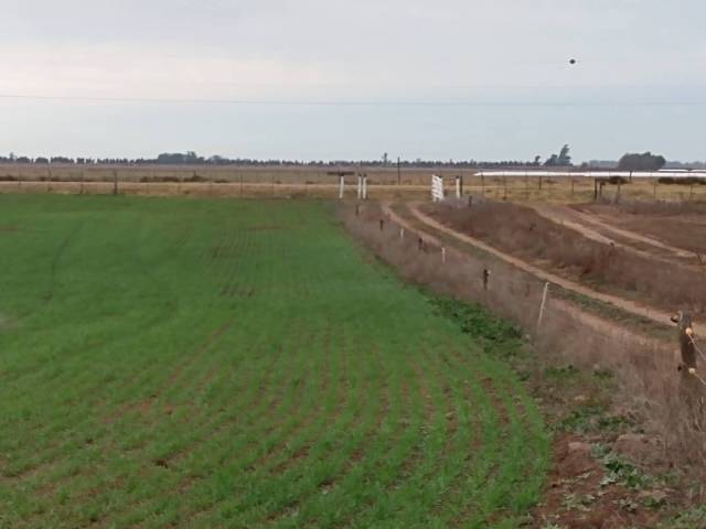 Imagen 8786597b045ca0a068077ae85cd8458d