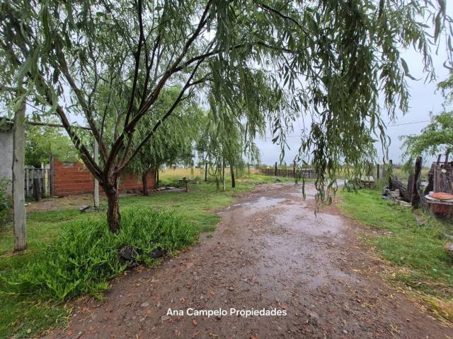 Imagen 98811f0816b68e55a79edf639ca20c63