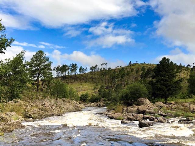 Imagen ba6046fefd3b2680a6ccd5cfe608acad