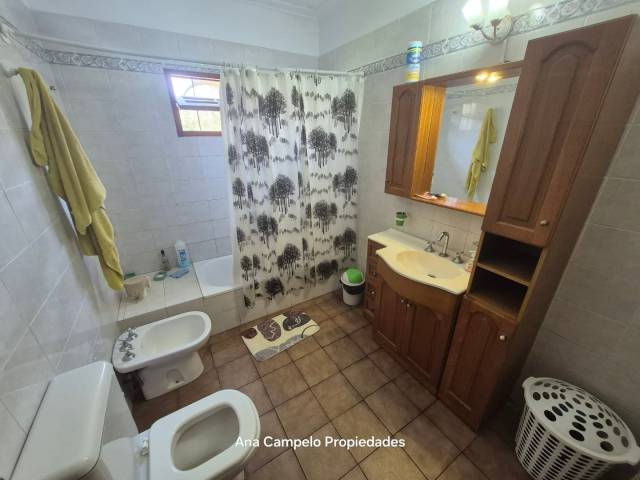 Imagen bb65b87735039b4e0a01d99523b03325