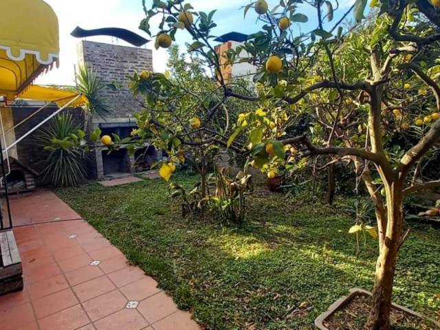 Imagen bbdbe7d1ea3514ba688a53f9d9b2c63c