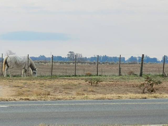 Imagen c3903865ce0ff732340c3dd79cdb97f3